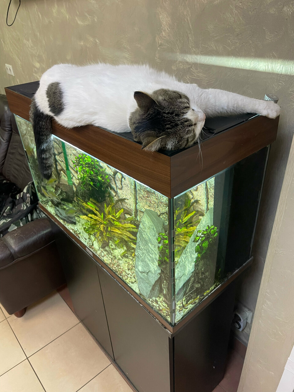 Гостиница Герда Мытищи-217