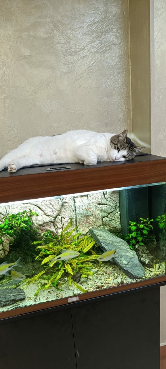 Гостиница Герда Мытищи-215