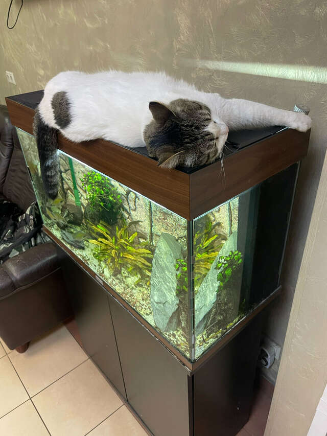 Гостиница Герда Мытищи-216